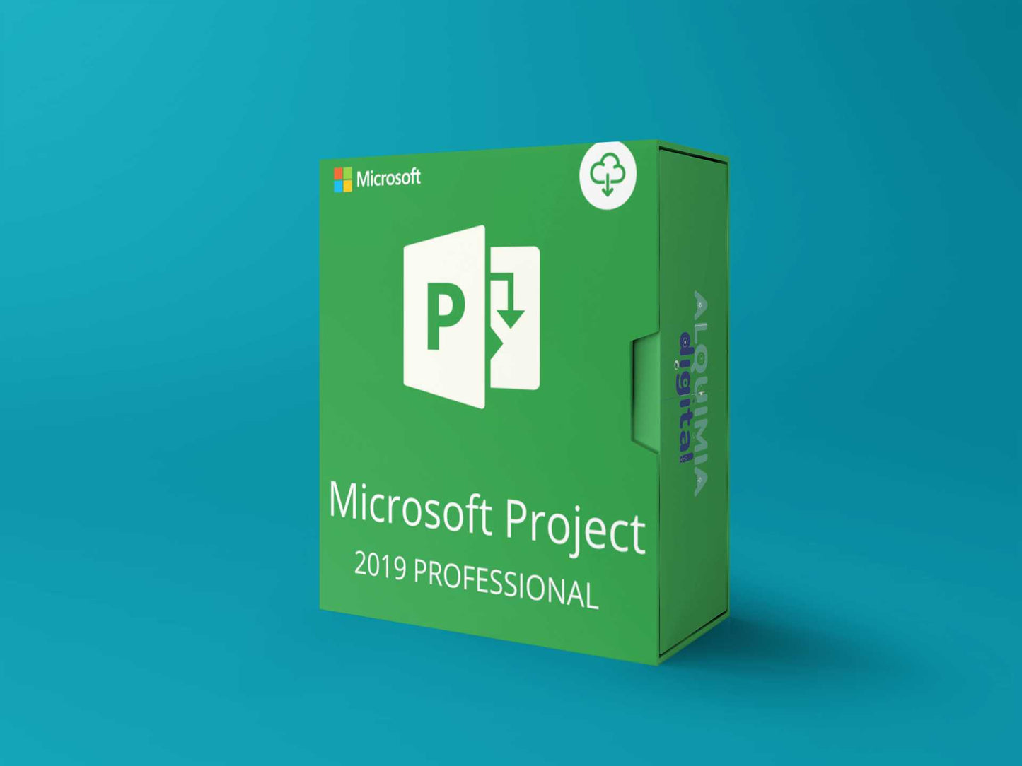 Project 2019 PRO