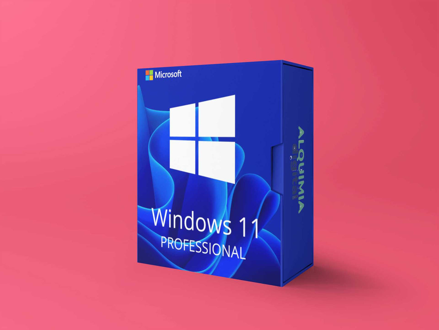 Windows 11 Professional
