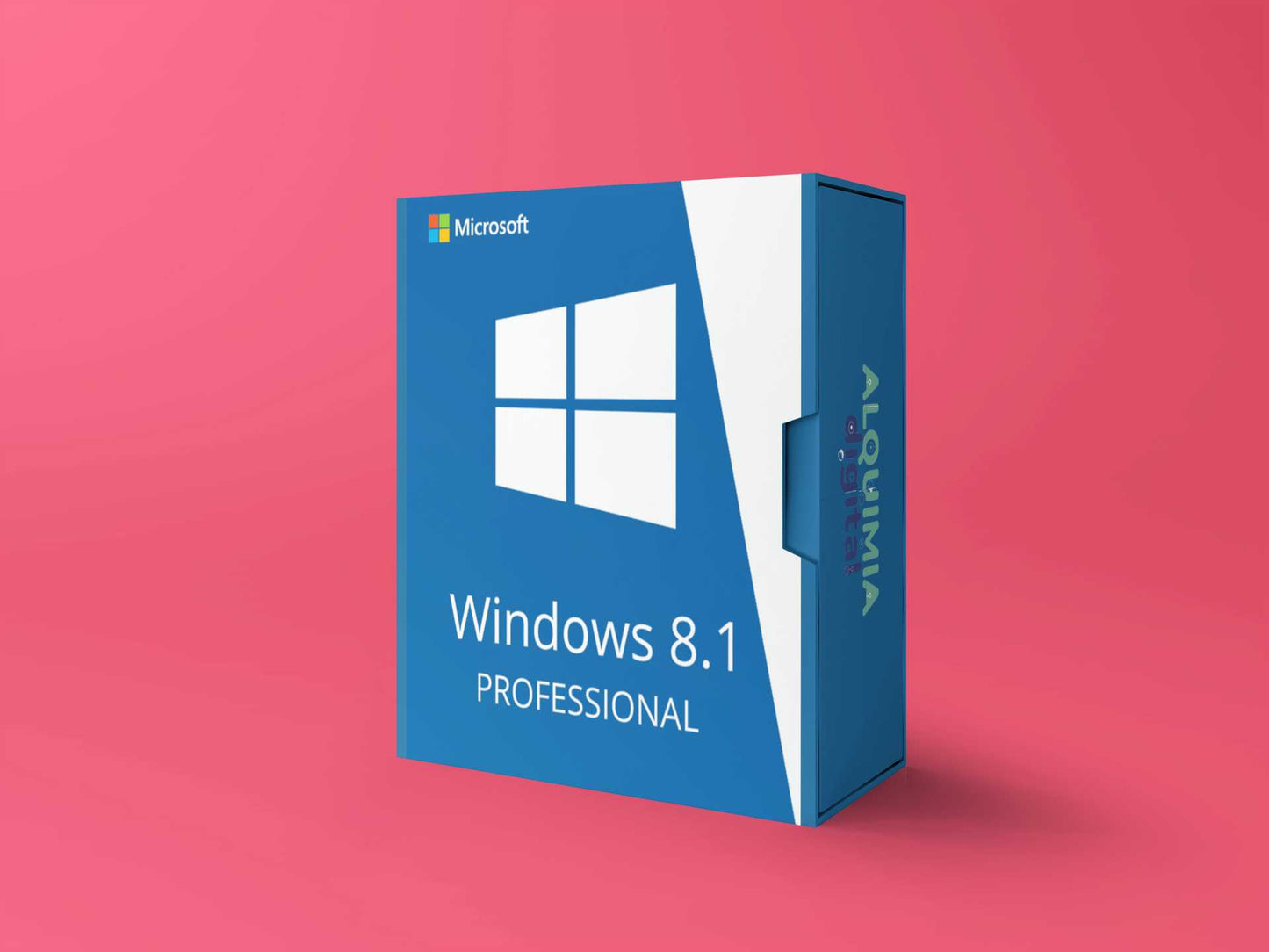 Windows 8.1 Professional