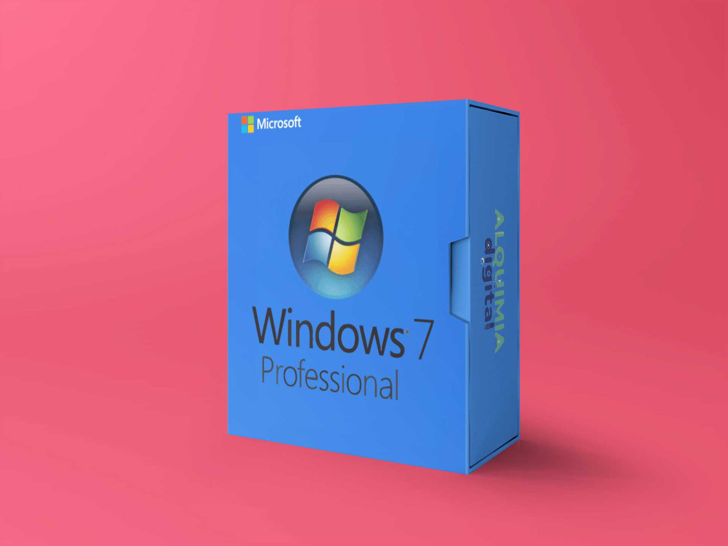 Windows 7 Professional