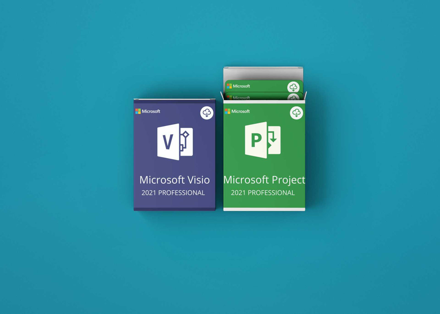 Project - Visio 2021 PRO